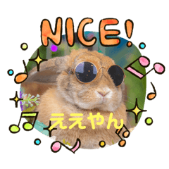 [LINEスタンプ] うさぎのしんしん うちの子スタンプ