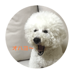[LINEスタンプ] しゅー1