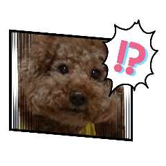 [LINEスタンプ] もこちゃんの日常すたんぷ