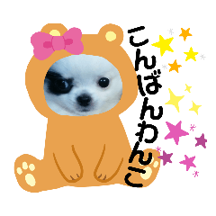[LINEスタンプ] ☆チワワの心菜☆可愛く伝える編
