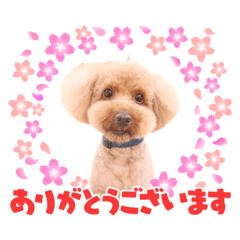 [LINEスタンプ] といぷーどるの日常生活2