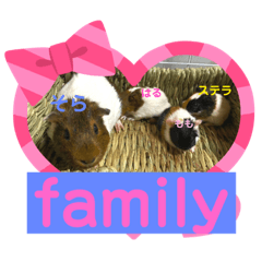 [LINEスタンプ] モルモットのあめそらfamily