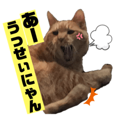 [LINEスタンプ] 茶虎猫のニャン神タイガース ネタVer.