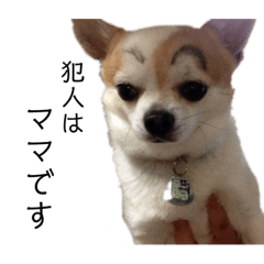 [LINEスタンプ] 竹中家の愉快な仲間たち