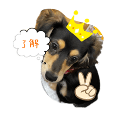 [LINEスタンプ] Mugi's stamp2