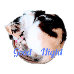 [LINEスタンプ] いやされーるスタンプ