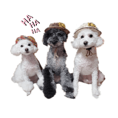 [LINEスタンプ] 雪丸・雫・雪花╰( U ・ᴥ・)m