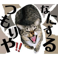 [LINEスタンプ] みねそた100% Part2
