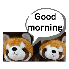 [LINEスタンプ] たけしのスタンプ 挨拶3