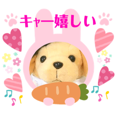 [LINEスタンプ] ウチのわんこの可愛い使えるスタンプ