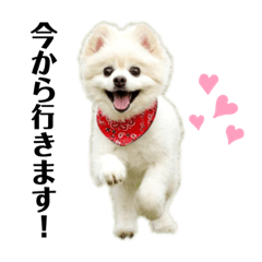 [LINEスタンプ] めーぷるとちくわ♪