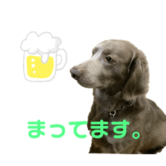 [LINEスタンプ] ジャックvol.1