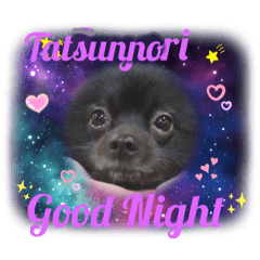 [LINEスタンプ] テンシンたつのり③