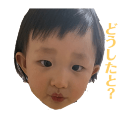 [LINEスタンプ] あおちゃんスタンプだヨ