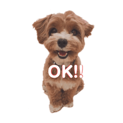 [LINEスタンプ] ふわふわナッツ