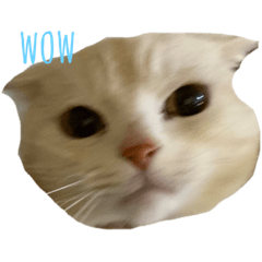 [LINEスタンプ] まるvol.1