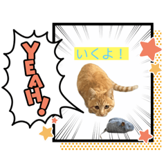 [LINEスタンプ] ころん。Part2