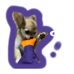 [LINEスタンプ] viviのstamp