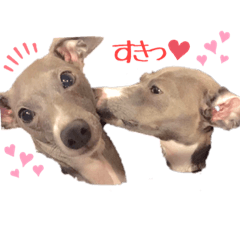 [LINEスタンプ] ひまりくハッピーセット