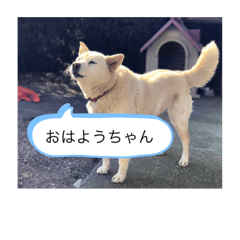 [LINEスタンプ] ハナさんver.1