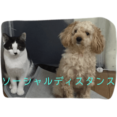 [LINEスタンプ] 意外と使えるはずなスタンプ