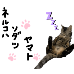 [LINEスタンプ] 名猫ヤマト2