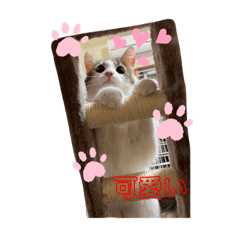 [LINEスタンプ] 優稀記念スタンプ