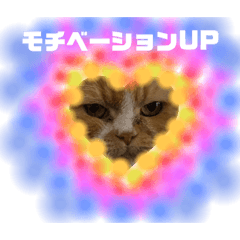 [LINEスタンプ] 18歳のまんちちゃんpart4