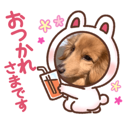 [LINEスタンプ] トムの色々スタンプpart2