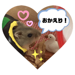 [LINEスタンプ] 気まぐれねねこのスタンプ♡2