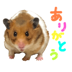 [LINEスタンプ] ゴールデンハムスタんぷ