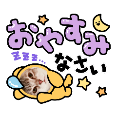 [LINEスタンプ] スコのぴょん太郎さん