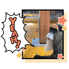 [LINEスタンプ] どうぶつたちのつぶやきってこんな感じ？