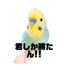 [LINEスタンプ] 恋人、友達、家族に送ってやれ！！