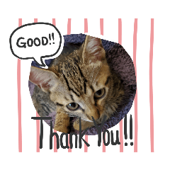 [LINEスタンプ] むぎちゃンネル