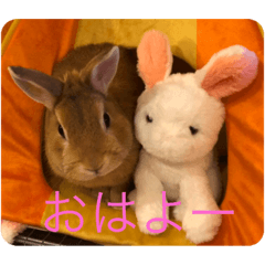 [LINEスタンプ] むぎちゃん！！！！
