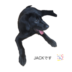 [LINEスタンプ] JACK eiko