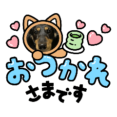 [LINEスタンプ] クロマメの日常その2