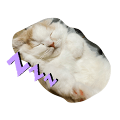 [LINEスタンプ] ナムルでしゅ