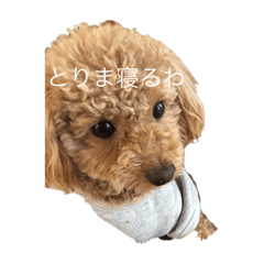 [LINEスタンプ] aceの脱力スタンプ！