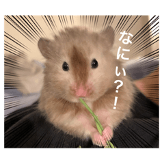 [LINEスタンプ] まさ吉のスタンプ