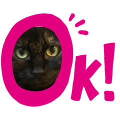 [LINEスタンプ] いつでもカール