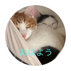 [LINEスタンプ] かみはつスタンプ1！