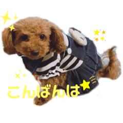 [LINEスタンプ] 愛月と空パート10
