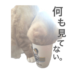 [LINEスタンプ] ルチオくんスタンプ