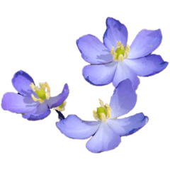 [LINEスタンプ] hana・花・flower