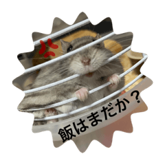 [LINEスタンプ] ぽぴの1日