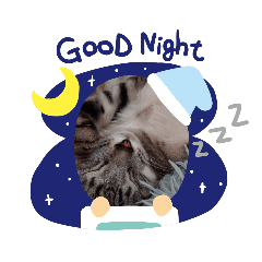 [LINEスタンプ] いろなのちゃん