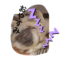 [LINEスタンプ] フレブル集合