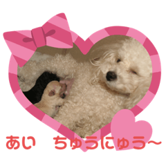 [LINEスタンプ] 白プードル黒プードル親子